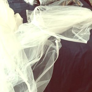 Vera wang Bride veil. Extra long. Ivory color
